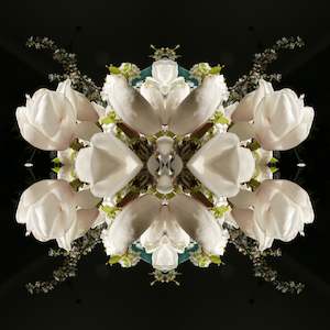 Black And White: White Magnolia Crown 3 - On Canvas