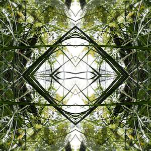 Ruatahi Diamond 4 - On Canvas