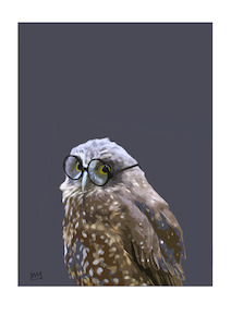 Morepork Specs