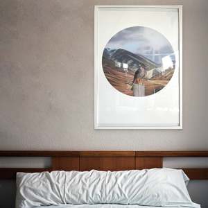 Rain: Falcon Round Framed Print