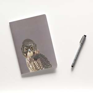 All: Falcon Aviator Notebook