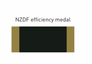 Products: TF Efficiency ribbon – Art By Kirst