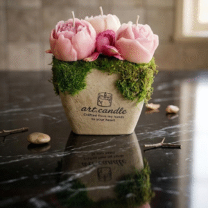 Blush Bloom Luxury Basket (Limited Edition)