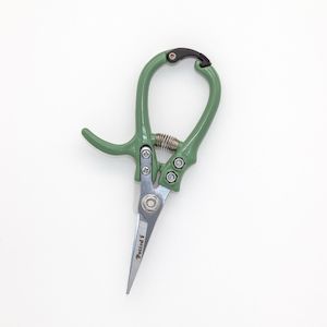 Gardening: Indoor Plant Snips Eucalypt