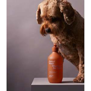 Ashley Co: Awoof Wash