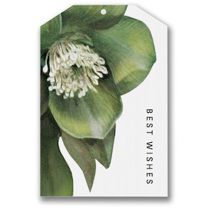 Gift Tags: Gift Tag - Best Wishes