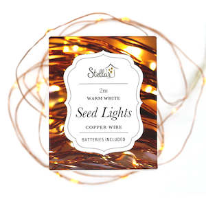 LED Battery Seed Lights 2m