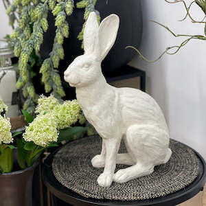 French White Rabbit