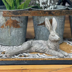 Shadow Country Hare Junior Resting