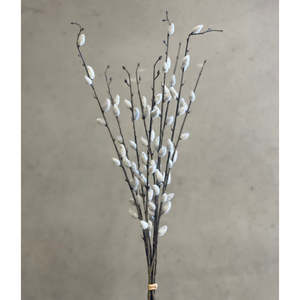 Room Decor: Pussy Willow Bundle