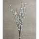 Pussy Willow Bundle