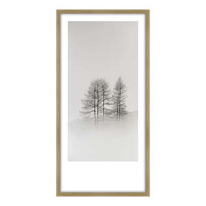 Homewares Living: Solitude I