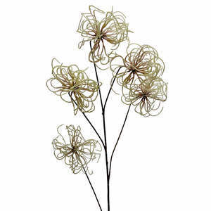 Homewares Living: Clematis Seed Pod Spray Cream 94cm