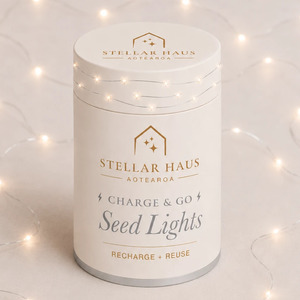 Lighting: 2m Rechargeable Charge & Go Seed Lights Silver