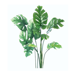 Wall Stickers: Lush Tropical Paradise Wall Stickers - Bring the Outdoors In!