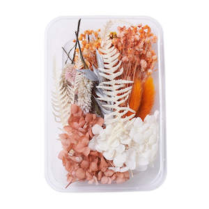 Dried Flowers: Mixed Colour Dried Flowers