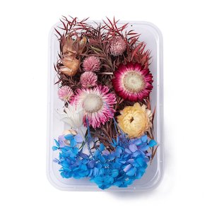 Dried Flowers: Mixed Lot of Dried Flowers