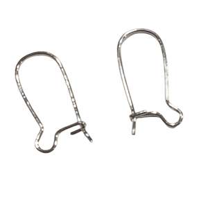 LAST1! 20pc Stainless Steel Kidney Ear Wires
