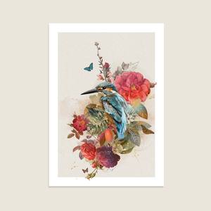 Featured Homepage: Custodian - Kingfisher