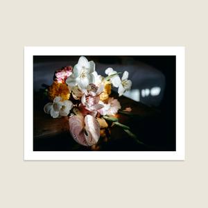 Featured Homepage: Vivid Bunch