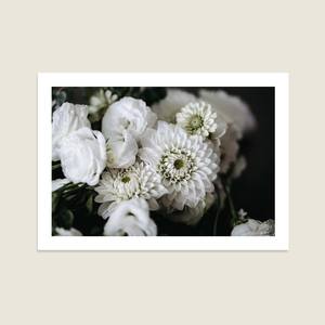White Florals