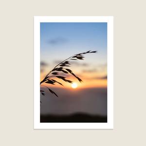Photography: Sun Centered