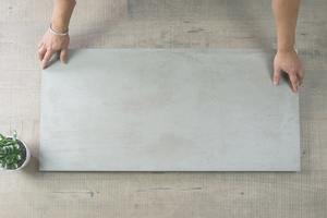 450x900: Fossil Light Grey 450×900 459065