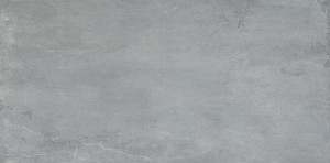450x900: Fossil Dark Grey 450×900 459066
