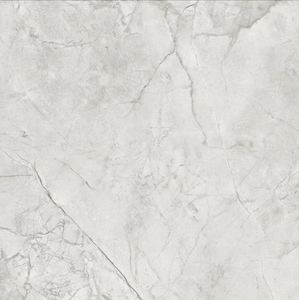 600x600: TIMELESS SILVER SATIN 600 x 600 YQI6P760