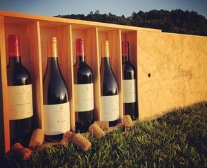6-BOTTLE WINE BOX Ascension Wine Estate