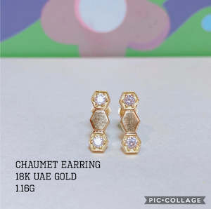 Jewelry - Earring