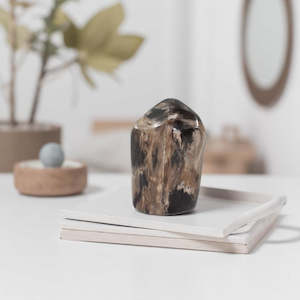 Petrified Wood Freeform - Lil Guy