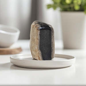 Petrified Wood Freeform - Big Guy