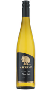 2023 Pinot Gris