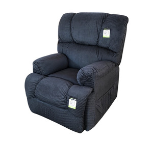 Daily Living: Electric Lift Chair