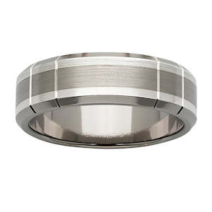 Mens Titanium Rings: Titanium Silver Ring