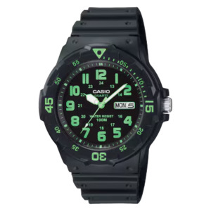 Casio 100m Divers Watch