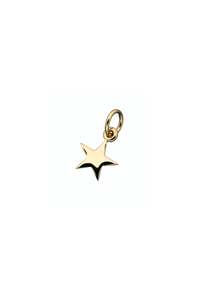 Karen Walker Golden Icon Star Charm