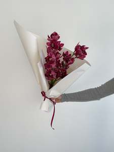 Cymbidium Orchids En Masse
