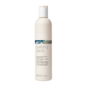 Shampoo: Milk_Shake Purifying Blend Shampoo