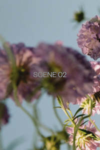 Abel: Abel Scene 02 Room Spray 100ml