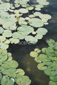 Abel: Abel Scene 01 Room Spray 100ml