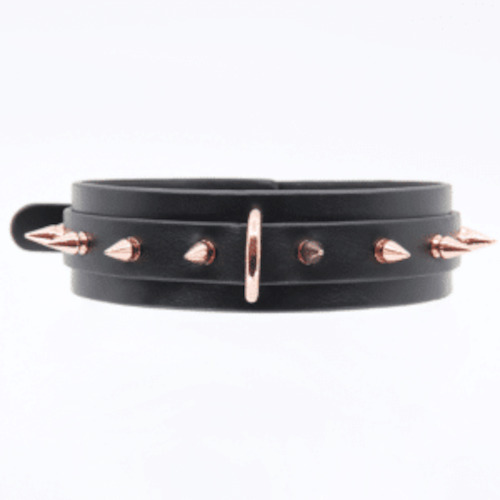 Collars: Love In Leather Gold Spike Collar