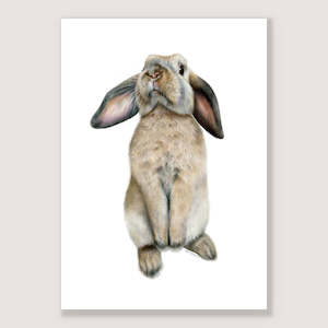 Rabbit Prints: Curious Bunny Print