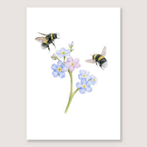 Forget Me Not Bees Print