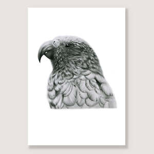 Graphite Black White Prints: Graphite Kākā Print