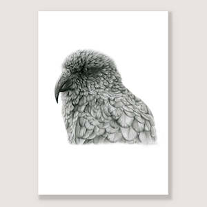 Graphite Black White Prints: Graphite Kea Print