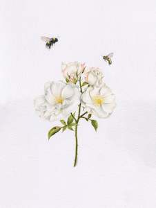 Original 'Roses and Bees'