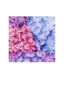 Original Coloured Pencil Art: Original 'Hydrangeas'