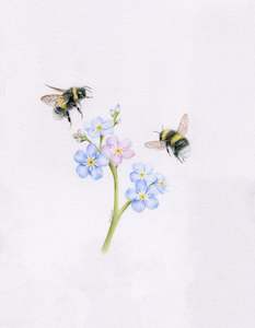 Original 'Forget Me Not Bees'